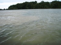 Soutok Dunaje a Váhu (špinavá a čistá)