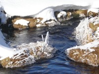 Hamerský potok má svůj půvab v každé roční době - tedy i v zimě.