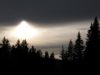 Zimní večer v lesích pod Filipovou Hutí. Zatímco se od bavorské hranice ženou sněhová mračna, poslední sluneční parsky ozařují modravské údolí.