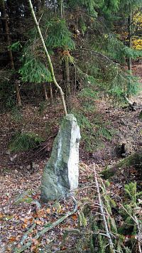 Jevínský kámen a menhir.