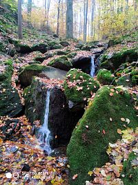 Údolím potoka Dörfelbach