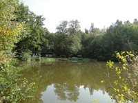 Dolní Hájnický rybník