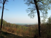 výhledy ze Ždánického lesa 