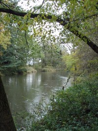 řeka Morava u Litovle