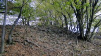 Staré Hradisko - Keltské oppidum - Malé Hradisko - archeo