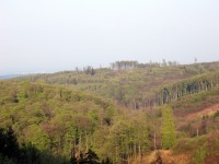lesy Drahanské vrchoviny pod Drahanami