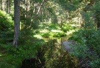 Velké javorové jezero - Grosser Arbersee-Bavorsko