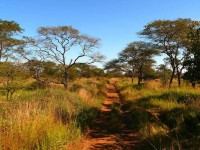 Cesty v národním parku Kafue - Zambie