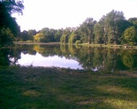 jeden z rybníků v parku