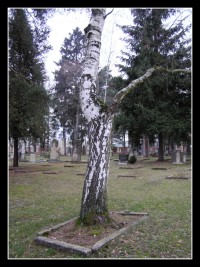 vojenký hřbitov Pouchov
