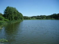 Krtský rybník
