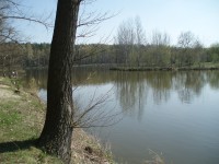 Rybník Záplavy u Srb