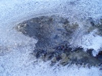 Obrazce v ledu