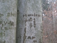Jeden strom se jmenuje Maruška