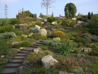 arboretum Bystrovany u Olomouce