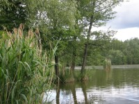 rybník Rosnička