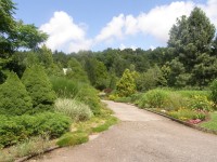 arboretum Borotín