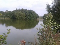 rybník Sychrov 4