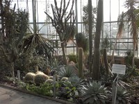 botanická zahrada 