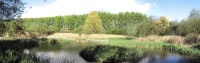 Maymeads Marsh Nature Reserve, Harlow, Essex