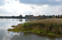Moritzburg - Zámecký rybník 