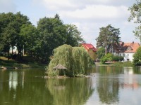 Kudówa zdrój - rybníček v parku