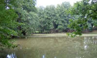 Jemniště - rybníček