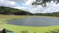 pohled na rybník v roce 2015