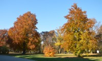 podzim v parku