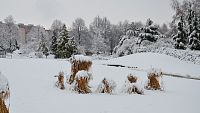 Botanická zahrada Troja v zimě - horní, severní část.