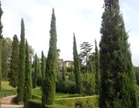 botanická zahrada Santa Clotilda