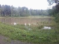 Malý Karlovský rybník