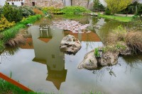 rybníček s odleskem věže - jaro