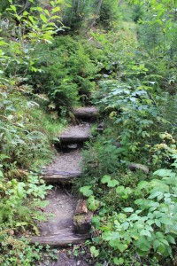 Lesní schody