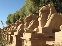 Karnak, alej posvátných beranů