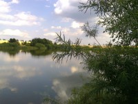 Pohled na rybník 3