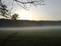 Mlha u Pohodlí