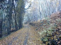 Údolí Melatína na podzim