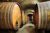 Cyklisté vítáni - Vinium a.s. - výroba vína