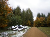 VIII. díl - Okruh broumskými lesy (z Broum) - 15 km