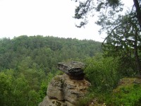 XXV. díl - Vojtěšským dolem do Jestřebic - 10 km