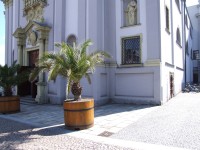 Kostel sv. Vojtěcha v Opavě