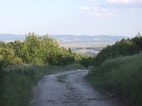 Cesta na Čachtický hradní vrch