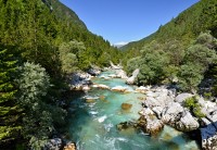 Slovinsko - Julské Alpy: řeka Soča (v údolí Trenta)