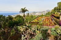 Madeira: Funchal - botanická zahrada