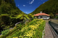 Madeira: Riberio Frio - pstruží farma