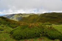 Madeira: Rabaçal