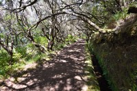 Madeira: Rabaçal - Levada do Risco
