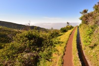 Madeira: Levada do Paúl