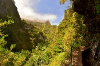 Madeira: Levada do Caldeirão Verde